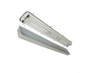 ЛСП 42 2х36 012 IP54 матовый, Светильник 2х36
