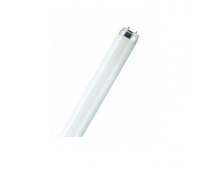 Лампа Люминесцентная 18W FL 18W/765 (42шт/уп),