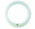 Лампа Люминесцентная 22W G10q,