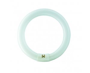 Лампа Люминесцентная TLE 22W/33-640 G10 бел. Philips Круглая,